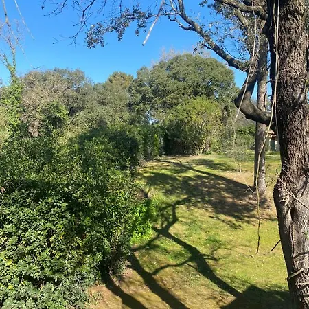 Villa Du Clos De Touiller Vers Pont du Gard